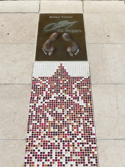 不少专家将